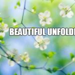 flowers | BEAUTIFUL UNFOLDING | image tagged in flowers | made w/ Imgflip meme maker