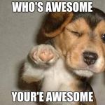 Pointing puppy | WHO'S AWESOME; YOUR'E AWESOME | image tagged in pointing puppy | made w/ Imgflip meme maker