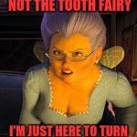 Fairly Odd-Mother | NO, KID... I'M NOT THE TOOTH FAIRY; I'M JUST HERE TO TURN YOU INTO A FRUITCAKE | image tagged in fairy godmother,memes,funny,dank | made w/ Imgflip meme maker