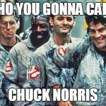 Chuck Norris Ghostbusters | WHO YOU GONNA CALL? CHUCK NORRIS | image tagged in ghostbusters,chuck norris,memes | made w/ Imgflip meme maker