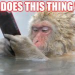 Ipod Snowmonkey | SO HOW DOES THIS THING WORK? | image tagged in ipod snowmonkey | made w/ Imgflip meme maker