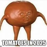 tomato | TOMATOES IN 2025 | image tagged in tomato | made w/ Imgflip meme maker