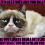 GRUMPY CAT | I HAVE A QUESTION FOR YOUR GRANDMA! HAVE YOU ALWAYS BEEN A FAT SLOB OR IS IT JUST SINCE YOU BECAME AN OLD FART? | image tagged in grumpy cat | made w/ Imgflip meme maker