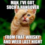 Kitteh is hungover | MAN, I'VE GOT SUCH A HANGOVER; FROM THAT WHISKY AND WEED LAST NIGHT | image tagged in kitten facepalm,hangover | made w/ Imgflip meme maker