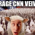 Sheepl | AVERAGE CNN VEIWER | image tagged in sheepl | made w/ Imgflip meme maker