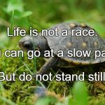 Turtle | Life is not a race. You can go at a slow pace, But do not stand still. | image tagged in turtle | made w/ Imgflip meme maker