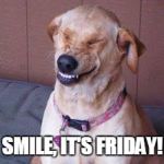 funny dog | SMILE, IT'S FRIDAY! | image tagged in funny dog | made w/ Imgflip meme maker