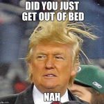 trump hair | DID YOU JUST GET OUT OF BED; NAH | image tagged in donald trump hair | made w/ Imgflip meme maker