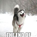 The End !!! | FINALLY !!! THE END OF SCHOOL !!!!!! | image tagged in happy husky | made w/ Imgflip meme maker