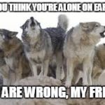 You're not alone | IF YOU THINK YOU'RE ALONE ON EARTH.. YOU ARE WRONG, MY FRIEND | image tagged in wolf pack | made w/ Imgflip meme maker