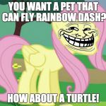 I know she likes tank, but still... | YOU WANT A PET THAT CAN FLY RAINBOW DASH? HOW ABOUT A TURTLE! | image tagged in fluttertroll,memes,rainbow dash,fluttershy,pets | made w/ Imgflip meme maker