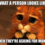 Puss wants some money! | WHAT A PERSON LOOKS LIKE; WHEN THEY'RE ASKING FOR MONEY | image tagged in shrek,puss in boots,money,begging,begging cat,cute cat | made w/ Imgflip meme maker