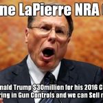 NRA | Wayne LaPierre NRA CEO; We gave Donald Trump $30million for his 2016 Campaign so he wouldn't bring in Gun Controls and we can Sell more Weapons | image tagged in nra | made w/ Imgflip meme maker
