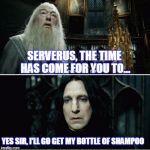 time to wash your hair! | SERVERUS, THE TIME HAS COME FOR YOU TO... YES SIR, I'LL GO GET MY BOTTLE OF SHAMPOO | image tagged in after all this time,memes | made w/ Imgflip meme maker