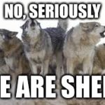 Wolf Pack | NO, SERIOUSLY; WE ARE SHEEP | image tagged in wolf pack | made w/ Imgflip meme maker