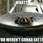 Trash panda | WHAT? YOU WEREN'T GONNA EAT IT! | image tagged in trash panda | made w/ Imgflip meme maker