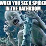 Gutless Gollum | WHEN YOU SEE A SPIDER IN THE BATHROOM. | image tagged in gutless gollum | made w/ Imgflip meme maker