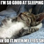 sleeping cat | I'M SO GOOD AT SLEEPING; I CAN DO IT WITH MY EYES SHUT. | image tagged in sleeping cat | made w/ Imgflip meme maker