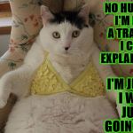 TRANNY CAT | NO HUMAN! I'M NOT A TRANNY! I CAN EXPLAIN THIS; I'M JUST... I WAS JUST GOING TO... | image tagged in tranny cat | made w/ Imgflip meme maker