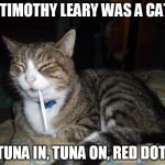 TOO STONED CAT | IF TIMOTHY LEARY WAS A CAT... TUNA IN, TUNA ON, RED DOT. | image tagged in too stoned cat | made w/ Imgflip meme maker