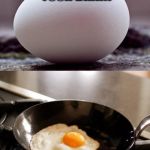 klm egg | THIS IS YOUR BRAIN; THIS IS YOUR BRAIN AFTER WATCHING FOX NEWS | image tagged in klm egg | made w/ Imgflip meme maker