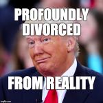 Profoundly divorced from reality. | PROFOUNDLY DIVORCED; FROM REALITY | image tagged in trump,donaldtrump,reality,child president | made w/ Imgflip meme maker