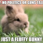 Fluffy Bunny | SORRY, NO POLITICS OR GUNS TALK HERE; JUST A FLUFFY BUNNY | image tagged in fluffy bunny | made w/ Imgflip meme maker