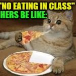 hypocrites | "NO EATING IN CLASS"; TEACHERS BE LIKE: | image tagged in cat eats pizza,teachers,hypocrites | made w/ Imgflip meme maker