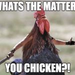 Come at me chicken | WHATS THE MATTER? YOU CHICKEN?! | image tagged in come at me chicken | made w/ Imgflip meme maker