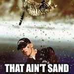 Cat Golfing | THAT AIN'T SAND THAT 'S CAT SHIT | image tagged in cat golfing | made w/ Imgflip meme maker
