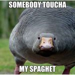Angry goose | SOMEBODY TOUCHA; MY SPAGHET | image tagged in angry goose | made w/ Imgflip meme maker
