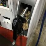 Snake In Gas Tank