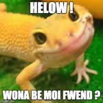 Yellow bongo geco | HELOW ! WONA BE MOI FWEND ? | image tagged in yellow bongo geco | made w/ Imgflip meme maker