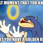Sanic | THAT MOMENT THAT YOU KNOW; THAT YOU HAVE A GOLDEN RING | image tagged in sanic | made w/ Imgflip meme maker