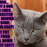 FEED ME & GET LOST | HUMAN... I'M NOT A DOG WHO LIKES THAT EXCITED TALK & WAVING THE BOWL AROUND CRAP! JUST PUT THE FOOD BOWL DOWN AND GET LOST! | image tagged in feed me  get lost | made w/ Imgflip meme maker