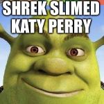 Katy Perry slimed Shrek If you know what I mean meme  | I THINK SHREK SLIMED KATY PERRY | image tagged in katy perry slimed shrek if you know what i mean meme | made w/ Imgflip meme maker