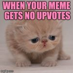 Cute Cat is Sad | WHEN YOUR MEME GETS NO UPVOTES | image tagged in cute cat is sad | made w/ Imgflip meme maker