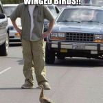 Ducks in traffic | MOVE UNDER DEVELOPED WINGED BIRDS!! | image tagged in ducks in traffic | made w/ Imgflip meme maker