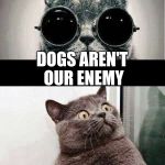 what if I told you template reaction | WHAT IF I TOLD YOU; DOGS AREN'T OUR ENEMY | image tagged in what if i told you template reaction | made w/ Imgflip meme maker