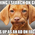 Fed Up Dog | ANYTHING I SEARCH ON GOOGLE; SHOWS UP AS AN AD ON FACEBOOK | image tagged in fed up dog | made w/ Imgflip meme maker