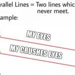 Rip fake love.    | MY EYES; MY CRUSHES EYES | image tagged in parallel lines | made w/ Imgflip meme maker