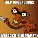 Roberto Futurama | THEM GROUNDHOGS; THEY'RE CONSPIRING AGAINST ME! | image tagged in roberto futurama | made w/ Imgflip meme maker