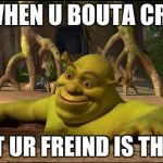 me every day | WHEN U BOUTA CRY; BUT UR FREIND IS THERE | image tagged in shrek | made w/ Imgflip meme maker