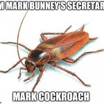 Cockroach | I'M MARK BUNNEY'S SECRETARY; MARK COCKROACH | image tagged in cockroach | made w/ Imgflip meme maker