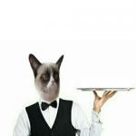 Grumpy Cat Waiter meme