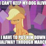 I hate to have it done, but I'm ready for it to be done! | I CAN'T KEEP MY DOG ALIVE; I HAVE TO PUT HIM DOWN HALFWAY THROUGH MARCH! | image tagged in first world problem applejack,memes,dog,sadness | made w/ Imgflip meme maker