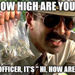 weedy cop | HOW HIGH ARE YOU? NO, OFFICER, IT'S " HI, HOW ARE YOU | image tagged in weedy cop | made w/ Imgflip meme maker