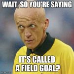 Are you serious? (Football) | WAIT, SO YOU'RE SAYING; IT'S CALLED A FIELD GOAL? | image tagged in are you serious football,referee,football,dumb,big head,field goal | made w/ Imgflip meme maker