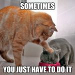 Look Out | SOMETIMES; YOU JUST HAVE TO DO IT | image tagged in bad kitty,funny animals,funny cats | made w/ Imgflip meme maker