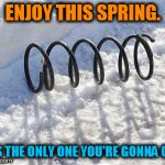 spring in snow | ENJOY THIS SPRING. IT'S THE ONLY ONE YOU'RE GONNA GET. | image tagged in spring in snow | made w/ Imgflip meme maker